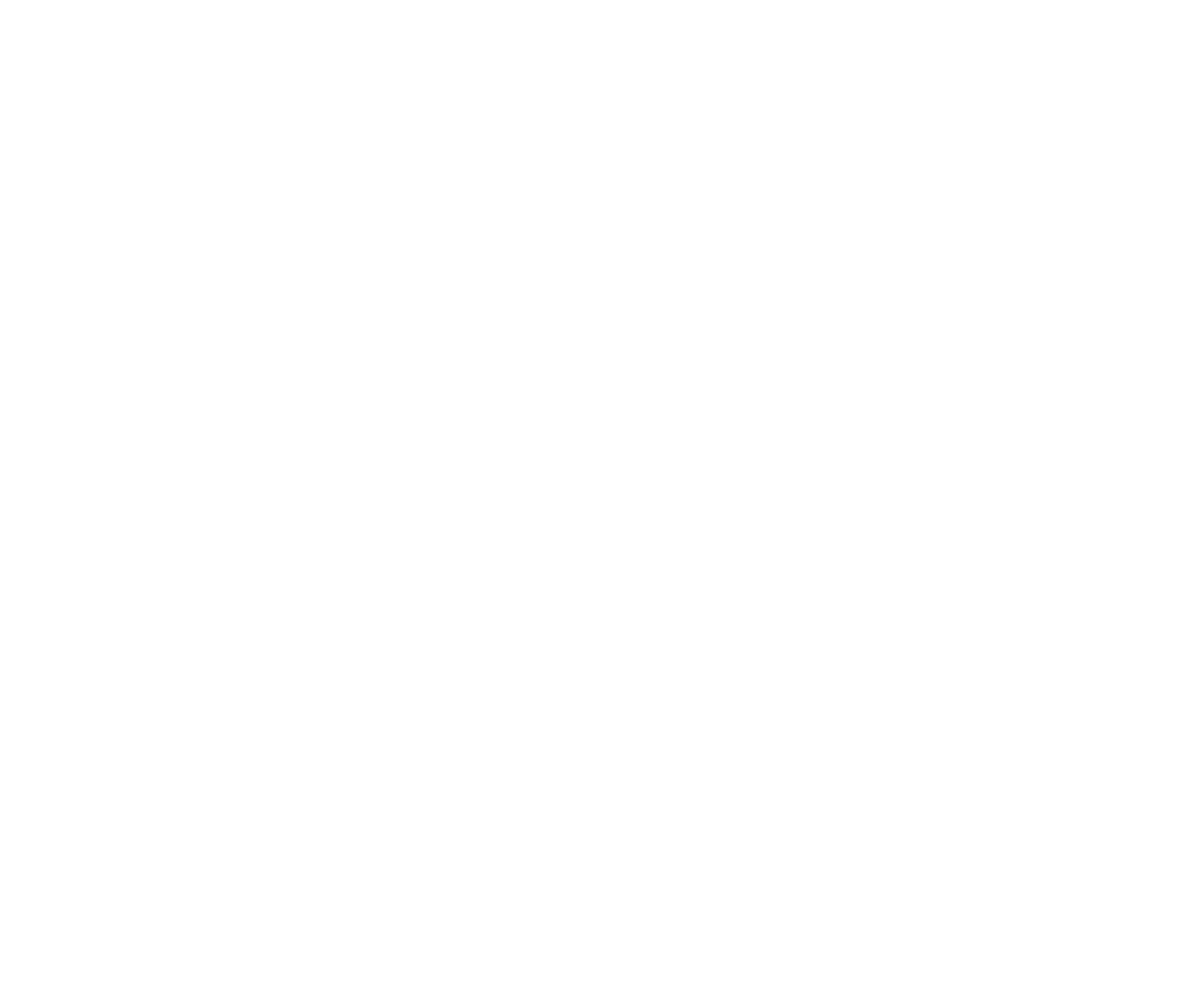 AI Solutions & Strategy